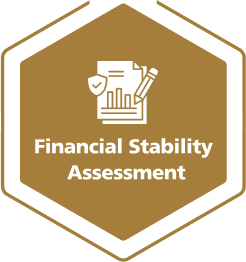 Financial Stability Assessment – Imdad Center