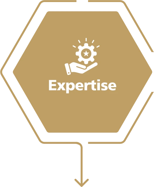 Expertise Icon