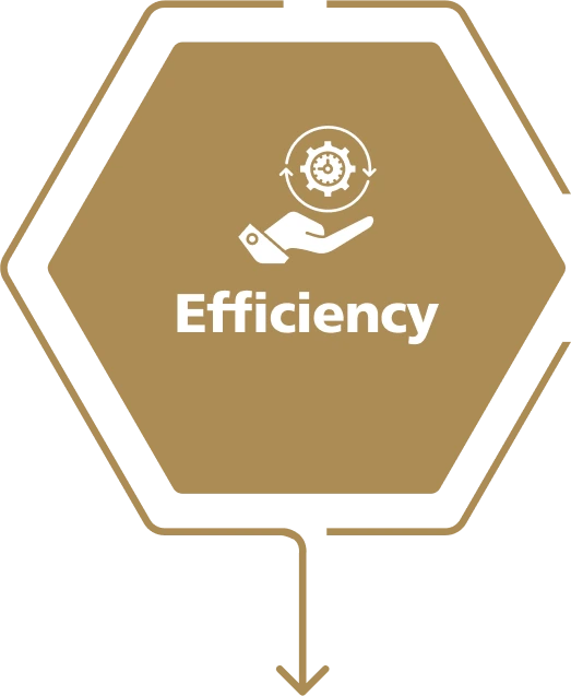 Efficiency Icon