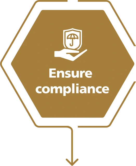 Ensure Compliance Icon