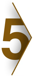 Number Five Icon