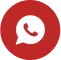 Whatsapp Icon