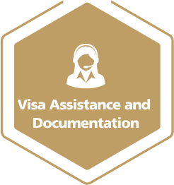 Visa Assistance Icon