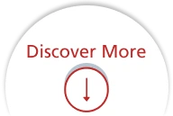 Discover Icon