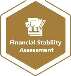 Financial Stability Assessment Icon