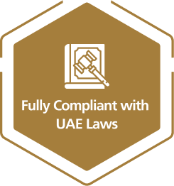 Fully Trained Maid Services Icon