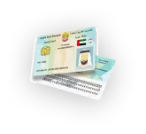 Emirates Id Icon