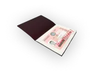 Visa Cancellation Paper Icon