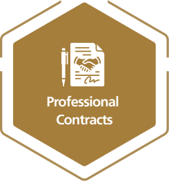 Professional Domestic Worker Icon