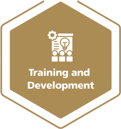 Quality Maid Services Icon